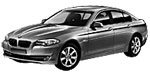 BMW F10 P079E Fault Code