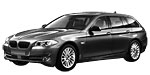 BMW F11 P079E Fault Code